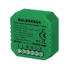 Bluetooth LED Lysdæmper | App Styring | 1 Udgang | 1-150W