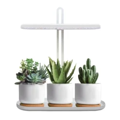 Grolys til Krydderurter | 13,4 PPF | 12W | Justerbar Højde | Timer | BLOOM | Hvid