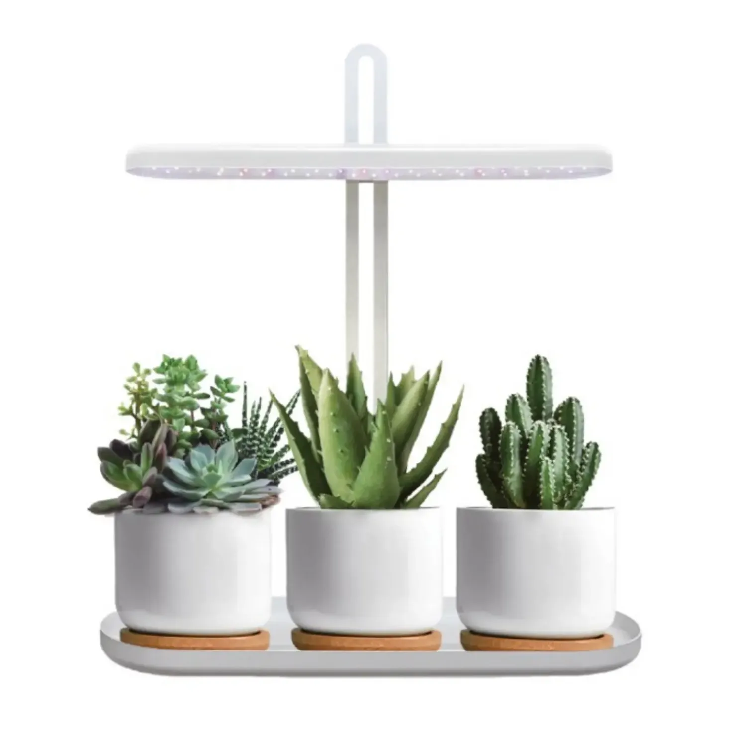 Grolys til Krydderurter | 13,4 PPF | 12W | Justerbar Højde | Timer | BLOOM | Hvid