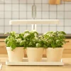 Grolys til Kryderurter | 20 PPF | 20W | Justerbar Højde | Timer | BLOOM | Hvid
