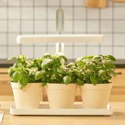 Grolys til Kryderurter | 20 PPF | 20W | Justerbar Højde | Timer | BLOOM | Hvid