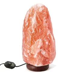 Himalaya Salt Lampe Med Træfod | 2,5 KG | Dæmpbar