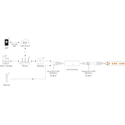LED Controller | Single Color | 2.4 GHz RF | 12/24V | MLR1