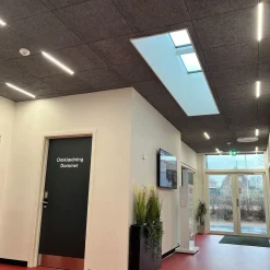 LED Troldtekt Skinner 60cm | 3 stk. Sæt | Inklusiv kabler, driver og 3-splitter | 3000K | PureLED | Sort