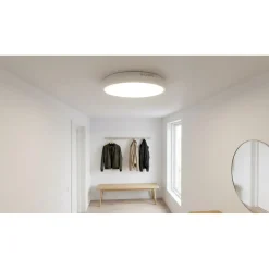 Loftlampe Med Sensor | Indendørs/Udendørs | 21W | 3040 lm | 4000K | IP65 | IK10