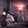 Philips Hue Smart Plug