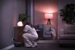 Philips Hue Smart Plug
