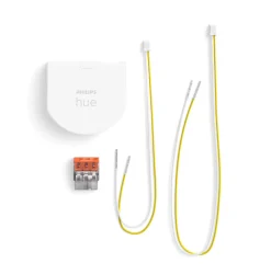 Philips Hue Wall Switch Module