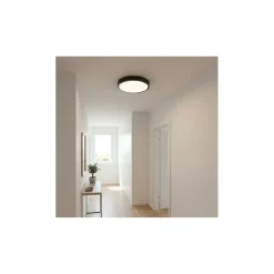 Plafond Lampe | Ø300mm | 2XE27 | Sort