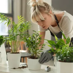 Plantelys Lampe | 2-Pak | 4.7 PPF | 5W | Justerbar Højde | Timer | VERDI V2 | Hvid