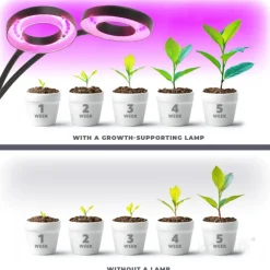 Plantelys Lampe | 2 pak | 7,6 PPF | 8W | 2 Ring Lyselementer | Timer | VITARO RING2 CLIP | Sort