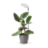 Plantelys Lampe | 4.7 PPF | 5W | Justerbar Højde | Timer | VERDI V2 | Hvid
