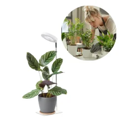 Plantelys Lampe | 4.7 PPF | 5W | Justerbar Højde | Timer | VERDI V2 | Hvid