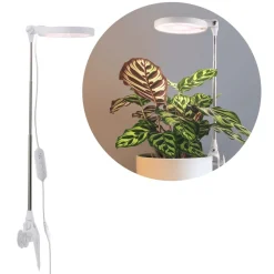 Plantelys Lampe på Spyd | 2-Pak | 6 PPF | 10W | Justerbar Højde | USB-A | VERDI | Hvid
