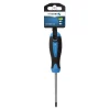 Skruetrækker | torx T10, 100 mm (HT1S053)