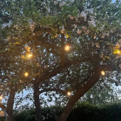 Solcelle Lyskæde | 10m | 2700K | Inkl. LED
