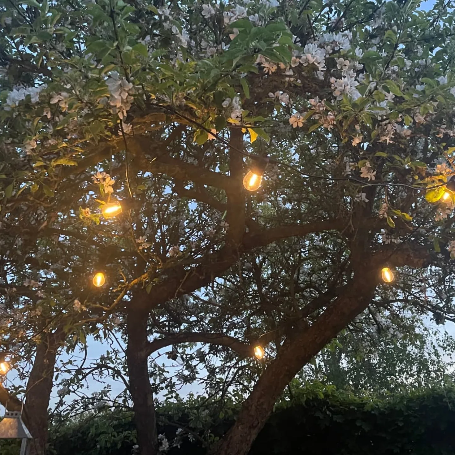 Solcelle Lyskæde | 10m | 2700K | Inkl. LED