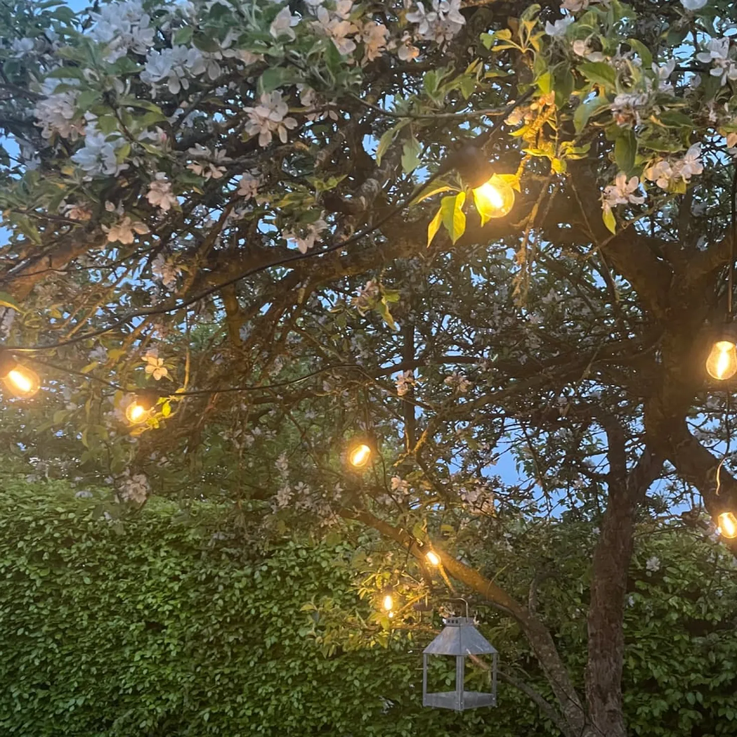 Solcelle Lyskæde | 10m | 2700K | Inkl. LED