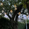 Solcelle Lyskæde | Udendørs lyskæde | 10 LED Kugler | 335 cm | 3000K (0736)
