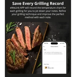 Sonoff BMT01 | BBQ Meat Thermometer | Digitalt Stegetermometer