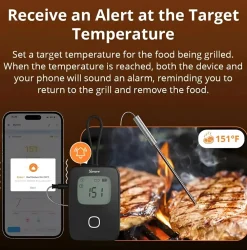 Sonoff BMT01 | BBQ Meat Thermometer | Digitalt Stegetermometer