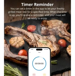 Sonoff BMT01 | BBQ Meat Thermometer | Digitalt Stegetermometer