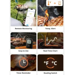 Sonoff BMT01 | BBQ Meat Thermometer | Digitalt Stegetermometer