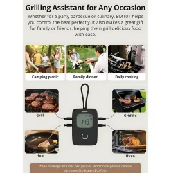 Sonoff BMT01 | BBQ Meat Thermometer | Digitalt Stegetermometer