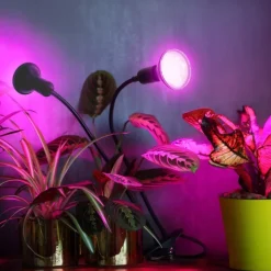 Vækstlys Lampe + Pære | 2-Pak | 10,98 PPF | 8W | 2 Arme | Med Klemme | Sort
