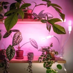 Vækstlys Lampe + Pære | 2-Pak | 10,5 PPF | 9W | 2 Arme | Med Klemme | Hvid